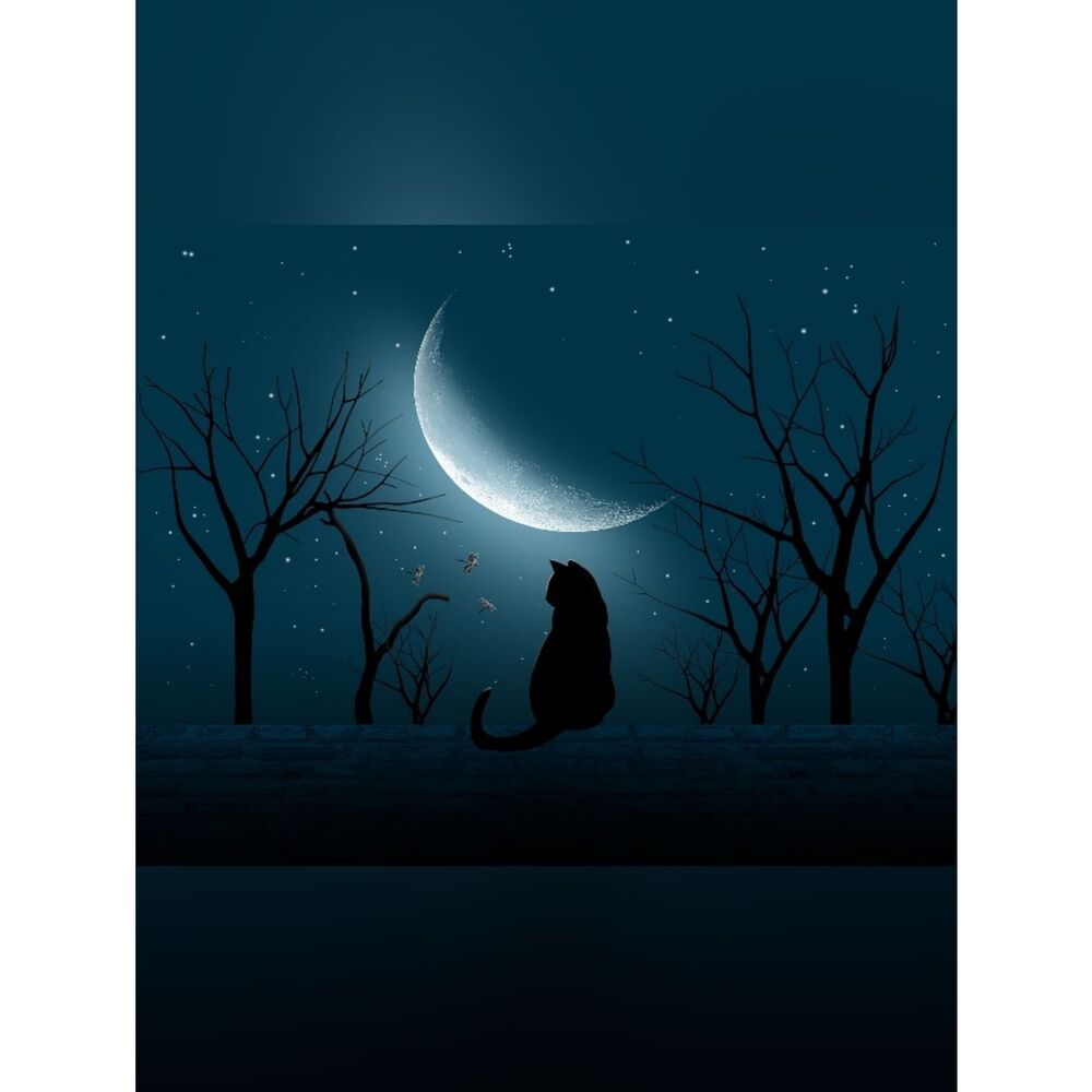 Black Cat Large Custom Fridge Magnet Home Office Kitchen Decor